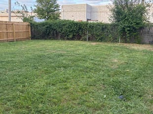 Alex A.'s lawn care services service result