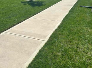 Darnell B.'s yard work service result