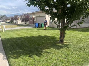 Jane M.'s lawn care service result