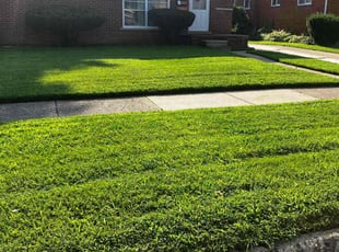 Mrs. K.'s lawn service service result