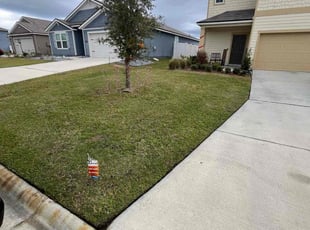 Caroline M.'s turf care service result