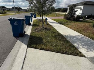 Freddy R.'s grass maintenance service result