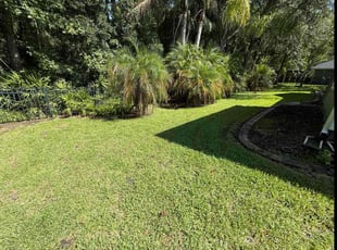 Lenore K.'s lawn care service result