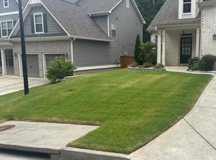 Sean M.'s turf maintenance service result