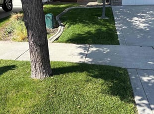 Katherine H.'s lawn care service result
