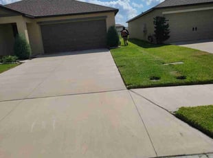 Alexander C.'s grass cutting service result