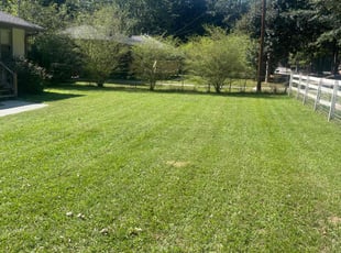 Patricia H.'s lawn maintenance service result