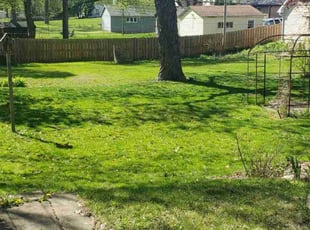 Donna W.'s turf maintenance service result