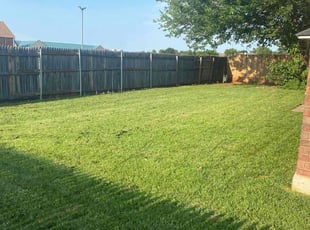 Tina W.'s lawn care services service result
