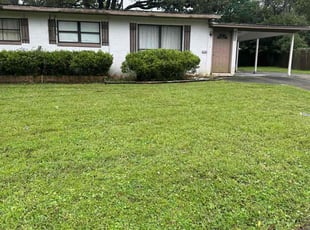 Cat R.'s grass maintenance service result