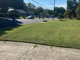 Maryfrances J.'s grass maintenance service result