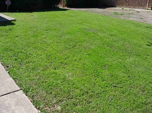 Kurt B.'s grass maintenance service result