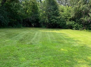 Golda O.'s lawn care services service result