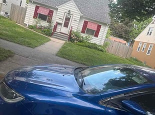 Tammi C.'s lawn service service result