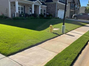 Zachary S.'s yard service service result