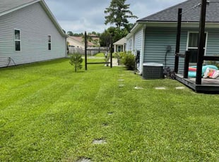 Tim W.'s grass maintenance service result