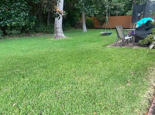 Sabih K.'s turf maintenance service result