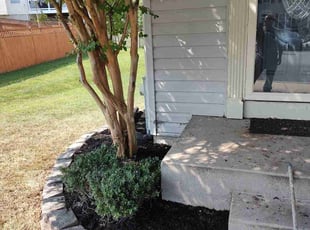 Terrance W.'s Mulching service result