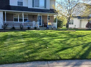 Harold B.'s grass cutting service result