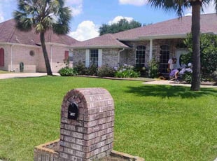 Steve V.'s yard care service result