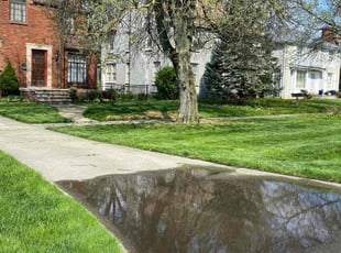 Bill H.'s lawn service service result