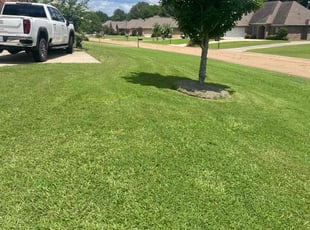 Danny O.'s lawn maintenance service result