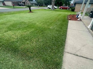 Kelshall W.'s turf care service result