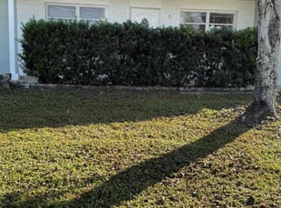 Carolyn C.'s turf maintenance service result