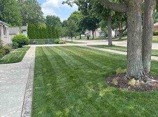 Joseph C.'s lawn service service result