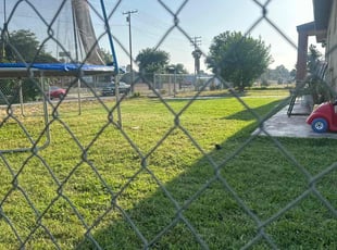Raeshelle D.'s lawn maintenance service result