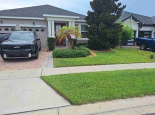 Michael M.'s grass cutting service result