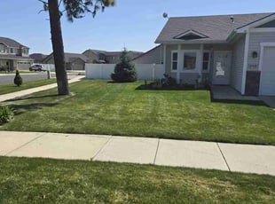 Marcia M.'s turf maintenance service result