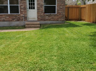 Bettsie B.'s grass cutting service result