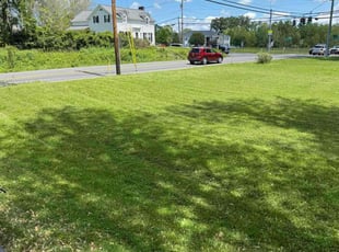 Kendria C.'s grass maintenance service result