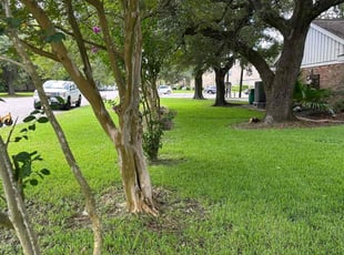 Daryl B.'s lawn care service result