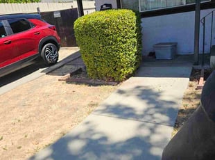 Jesse C.'s lawn care service result