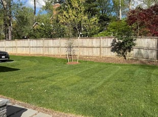 Ming W.'s turf care service result