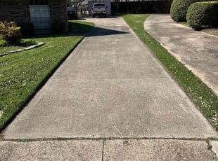 Theresa C.'s turf care service result