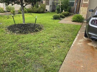 Jere F.'s turf maintenance service result