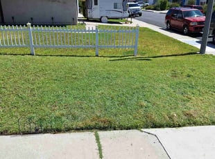 Carmen P.'s grass maintenance service result
