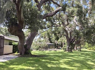 Tammy G.'s lawn maintenance service result