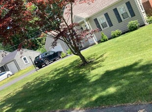 Shelita H.'s lawn care services service result