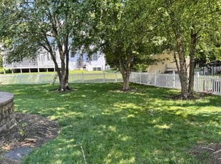 John P.'s turf care service result