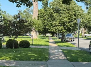 Taylor N.'s turf care service result