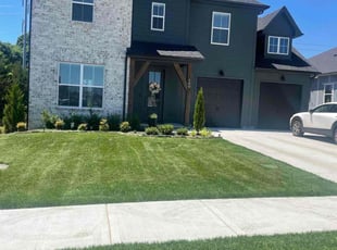 Aleta K.'s lawn care service result