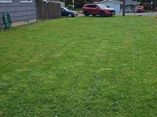 Ms H.'s lawn care service result