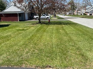 Jeffrey H.'s grass cutting service result