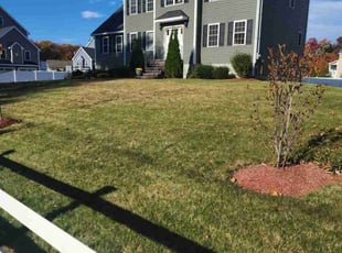 Mr B.'s grass cutting service result