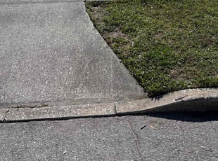 Connie T.'s grass maintenance service result