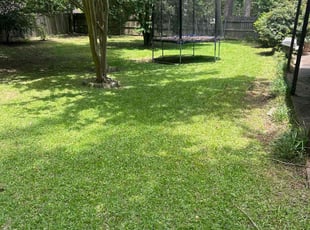 Danielle T.'s turf care service result